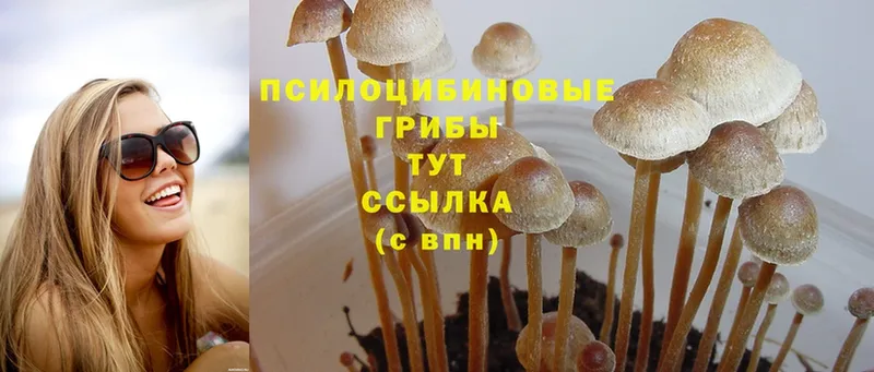 Псилоцибиновые грибы MAGIC MUSHROOMS  Лиски 